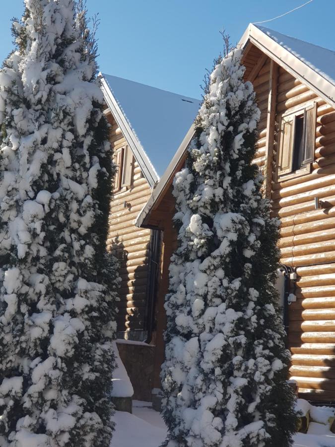 Villa Natural Wood Zlatibor Exterior photo